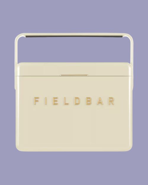 Mini Bar Cooler Box With Leather Sling