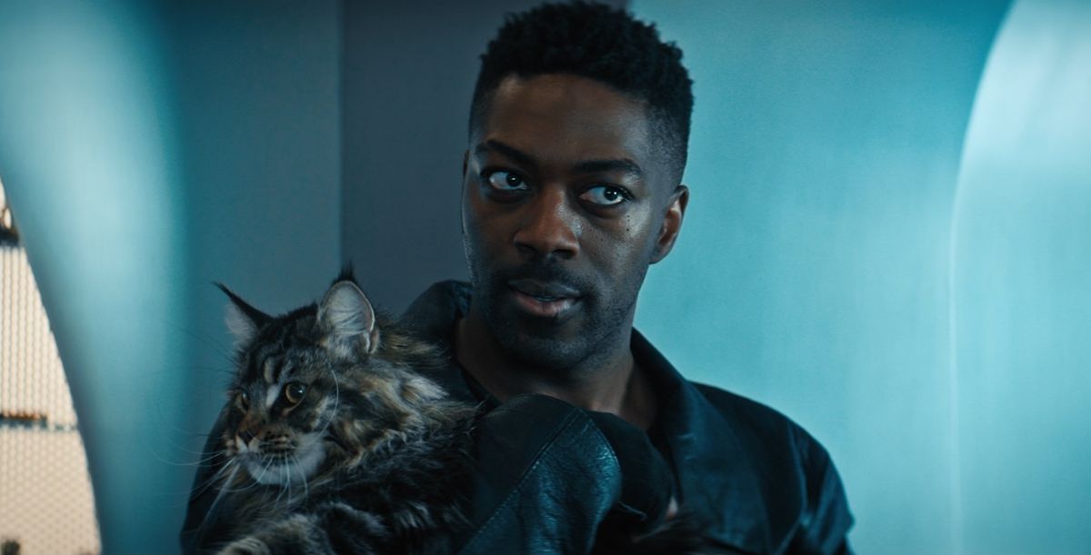 &quot;Star Trek: Discovery&quot; season three&#039;s Grudge (played by a cat named Leeu) could be the coolest cat in sci-fi since Jones in &quot;Alien.&quot;