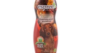 Pumpkin Spice dog shampoo