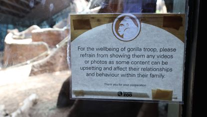 The sign at the Toronto Zoo