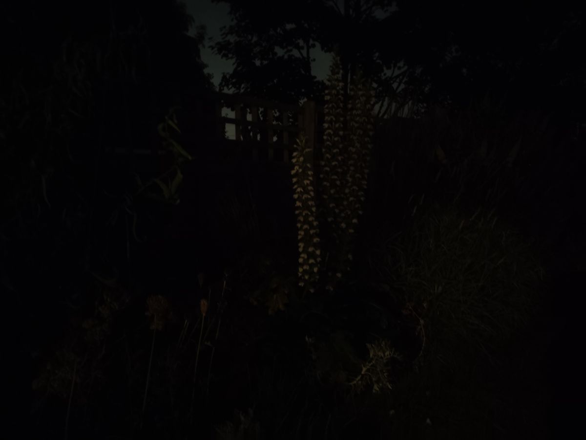 Nothing Phone 1 camera sample main extreme low light