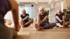 People in a senior's yoga class