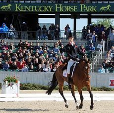 william-fox-pitt-parklane-hawk.jpg