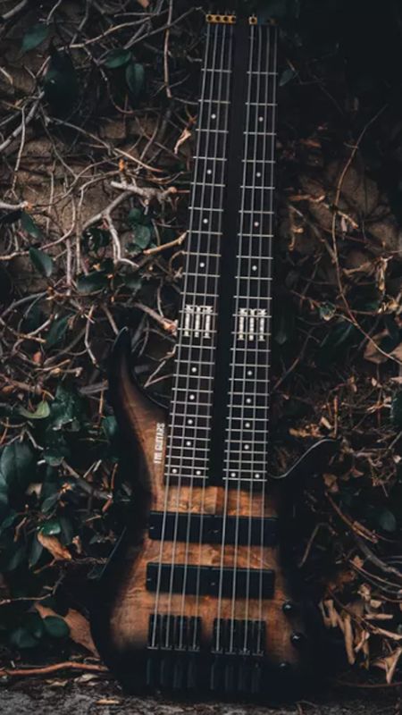 FM Guitars dual-fretboard bass