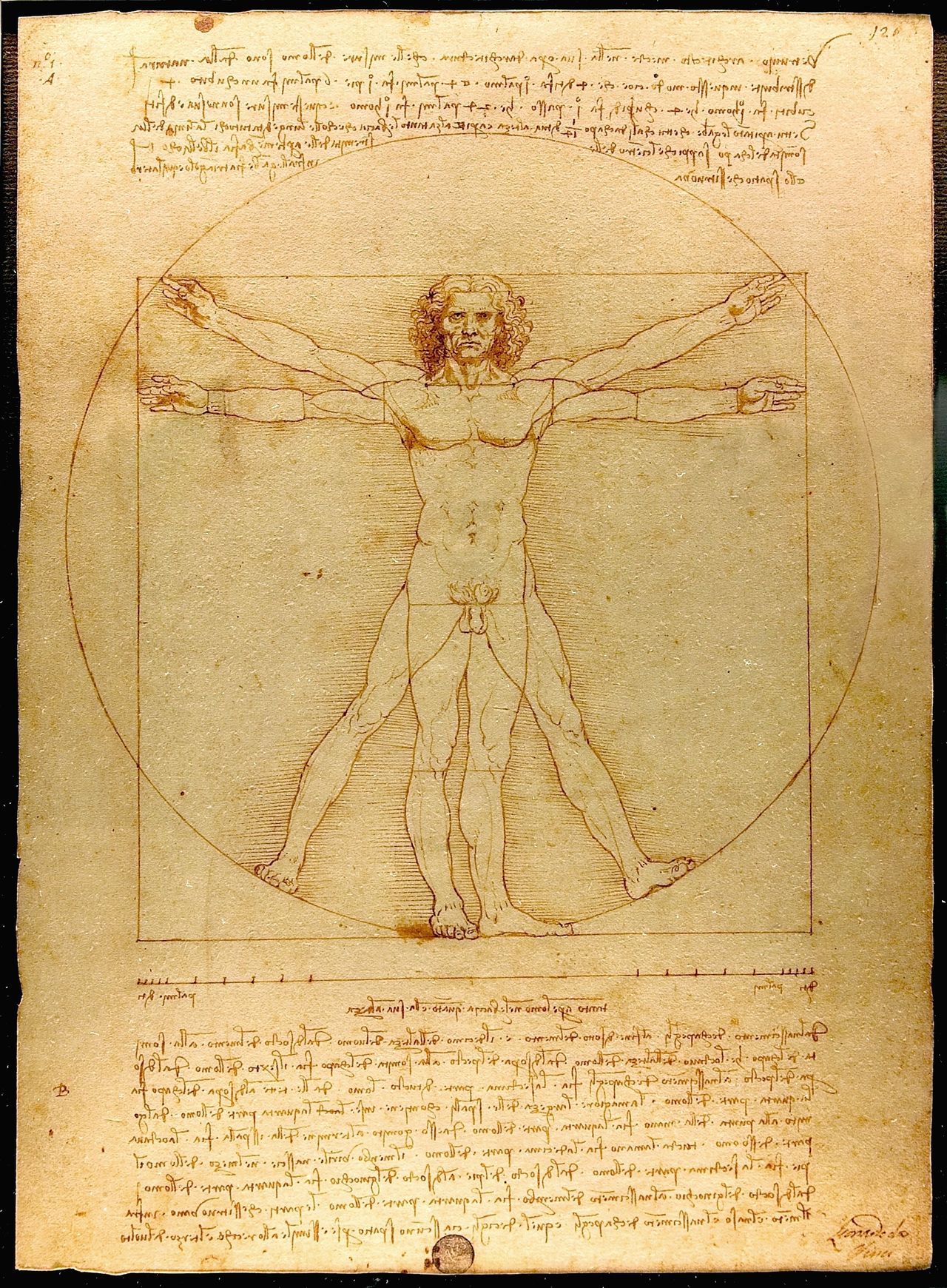 Leonardo da Vinci&amp;#039;s &amp;#039;Vitruvian Man.&amp;#039;