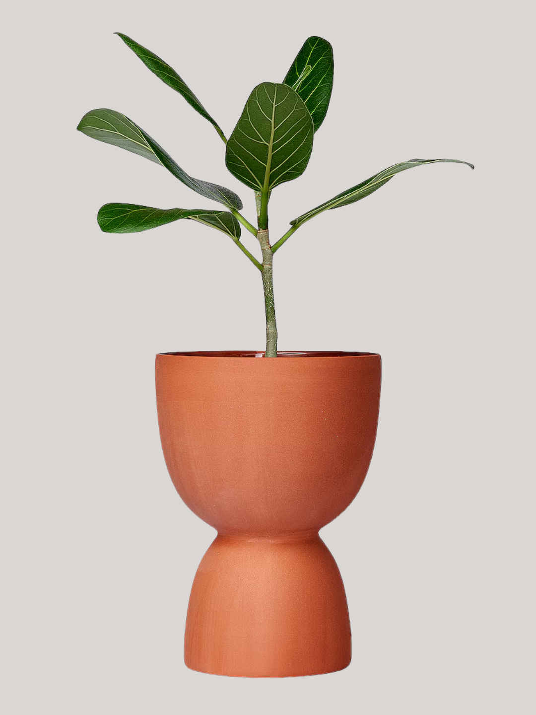 A footed terracotta planter from Franca NYC