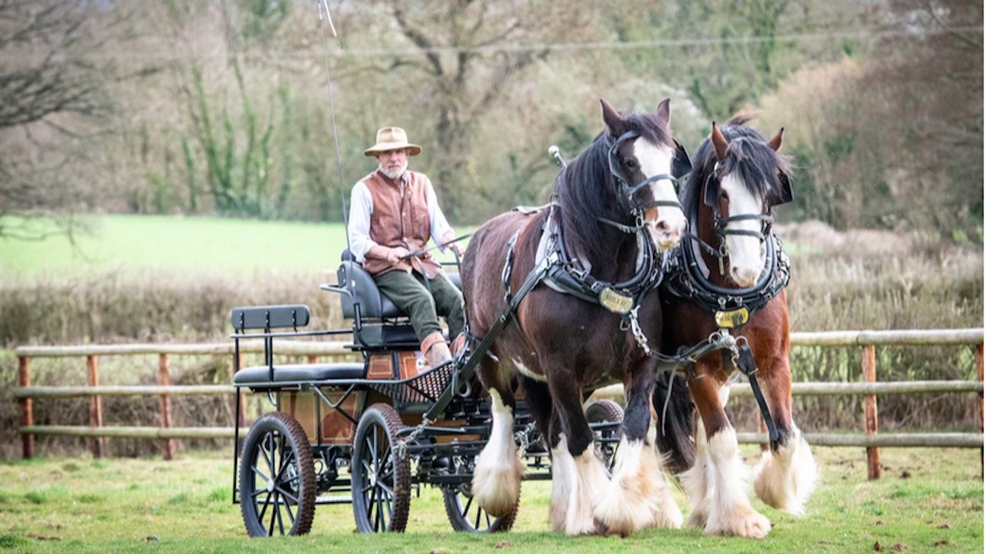 Shires.png