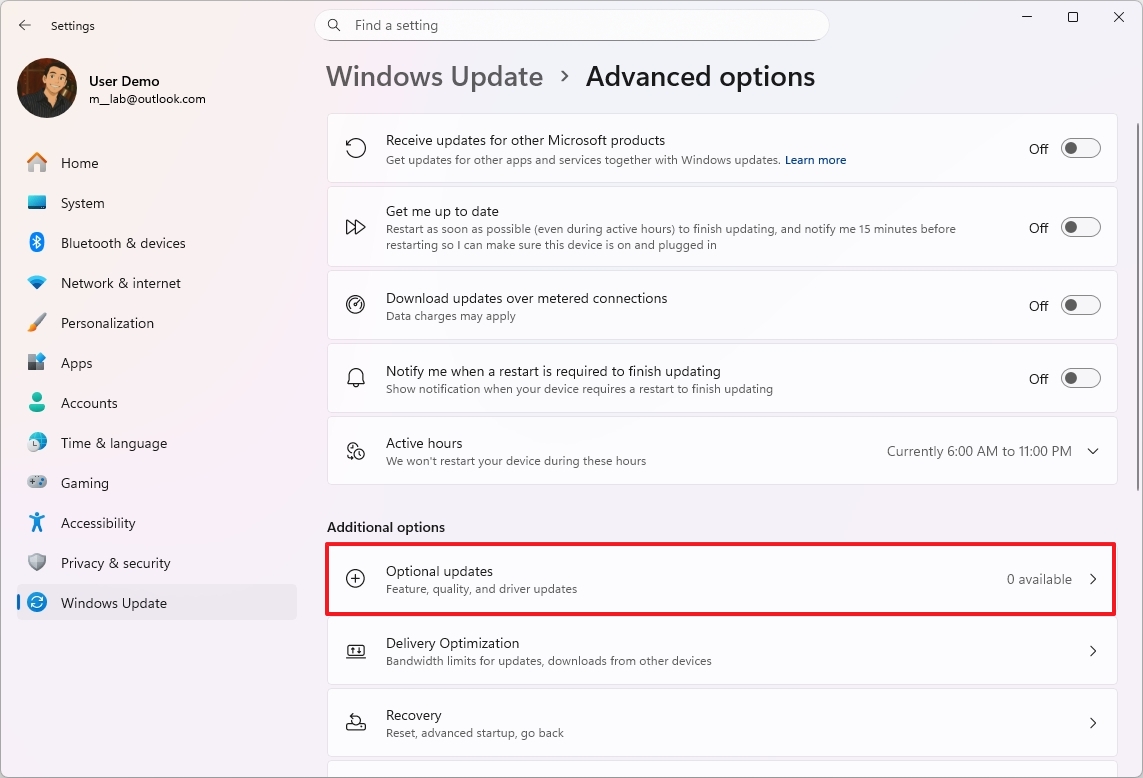 Windows 11 Optional updates