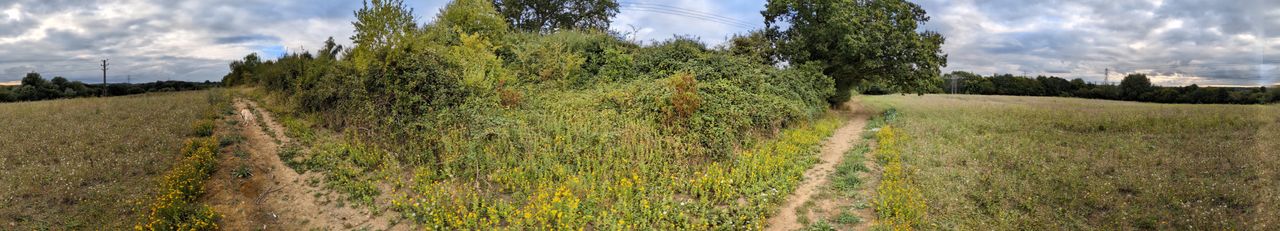 200 photos google pixel 8a panorama shots
