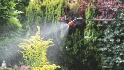 Spear and Jackson Pump Action Pressure Sprayer hose spraying in garden