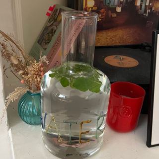 mint water: infusion at home