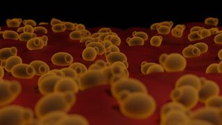 3d illustration of oval-shaped yeast cells, depicted as yellow against a dark red and black gradient background