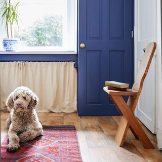 a dog lying on a red kilim rug in a utility room with blue painted cabinets