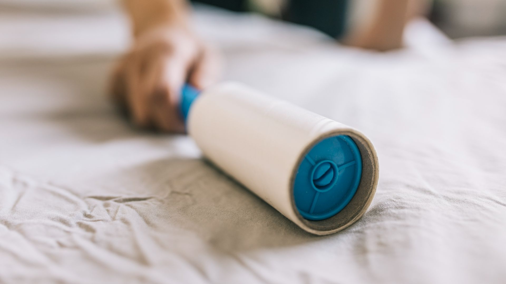 lint rolling a sheet