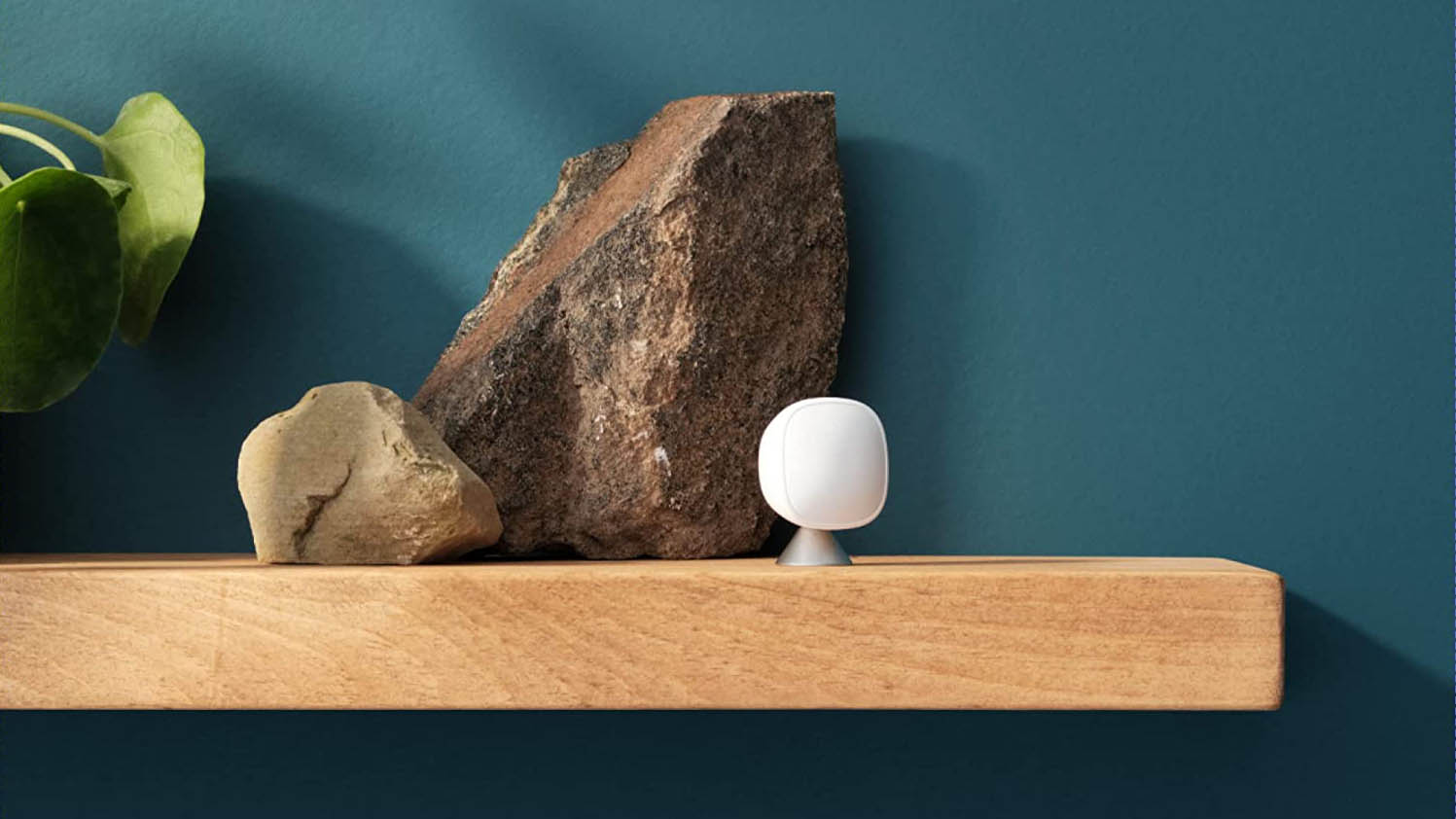 Ecobee smart sensor on a shelf next to two decorative rocks and a plant