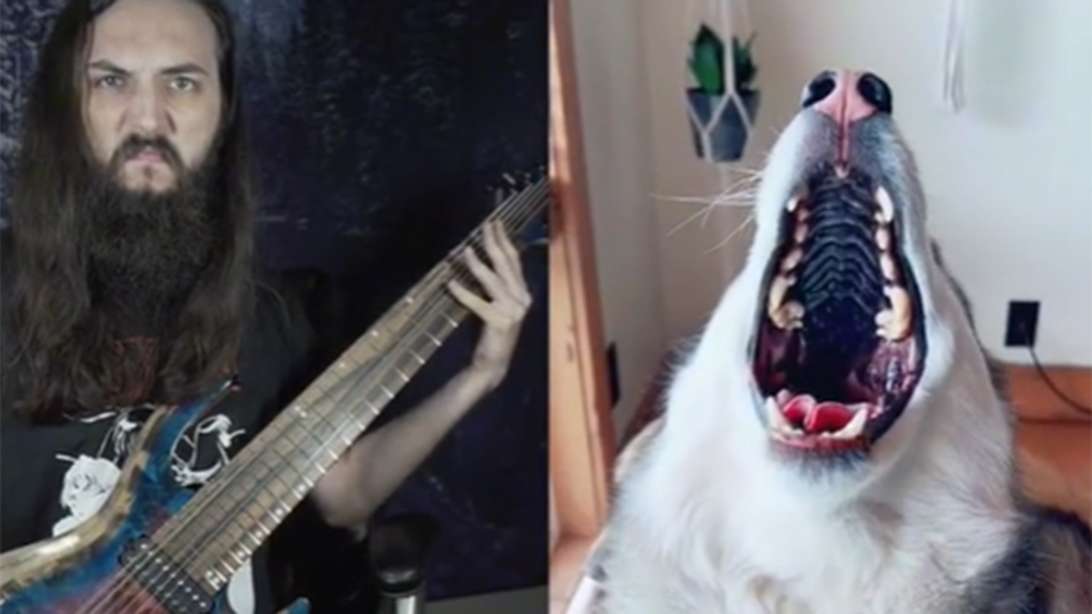 Logan Young riffing on guitar to husky howling on TikTok