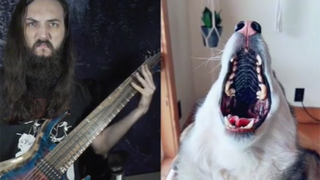 Logan Young riffing on guitar to husky howling on TikTok