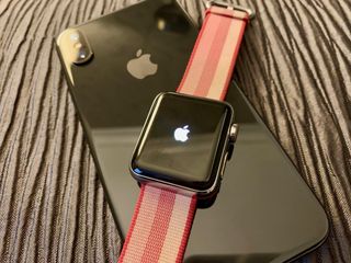 Apple Watch in reboot mode