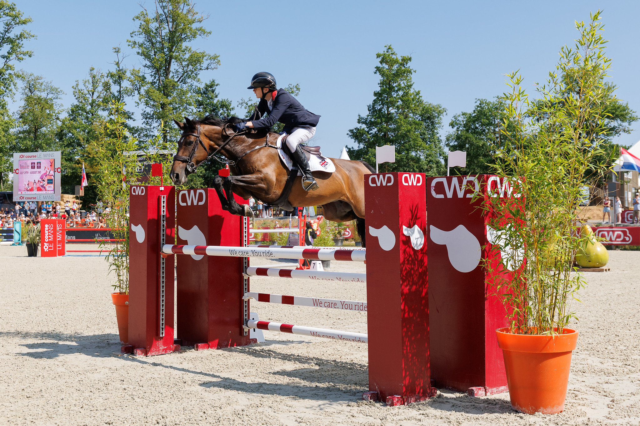 Henry Leggott and Blossom's Big Claim winning team gold for Great Britain at the 2026 Pony European Showjumping Championships in Le Mans, France.