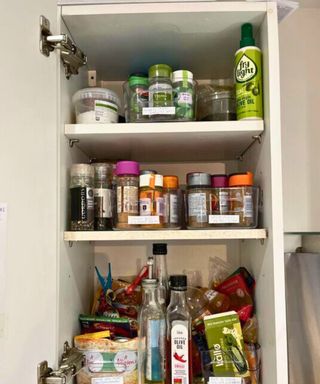 My open spice cabinet throwing three shelves of spices organized in clear bins with labels