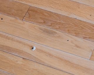 Woodworm holes in oak wood flooring