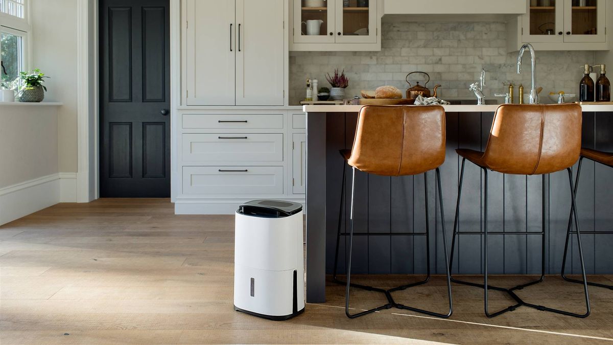 Desiccant vs compressor dehumidifiers the pros and cons Woman & Home