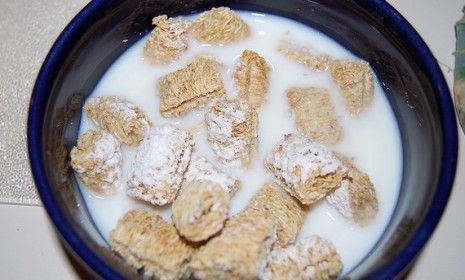 Sure they&amp;#039;re packed with whole grain fiber, but those Frosted Mini-Wheats may also be full of metal mesh. Yum!