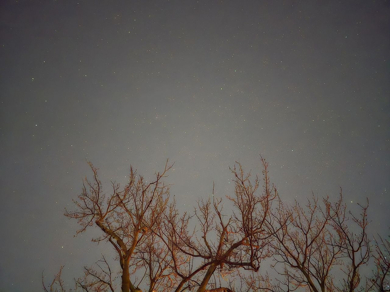 Samsung Galaxy S24 Ultra astrophotography using night mode.