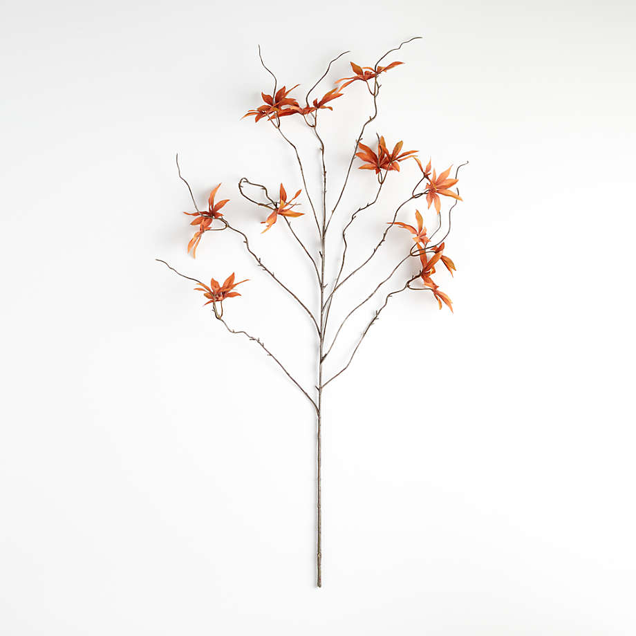 fall folliage branch in orange