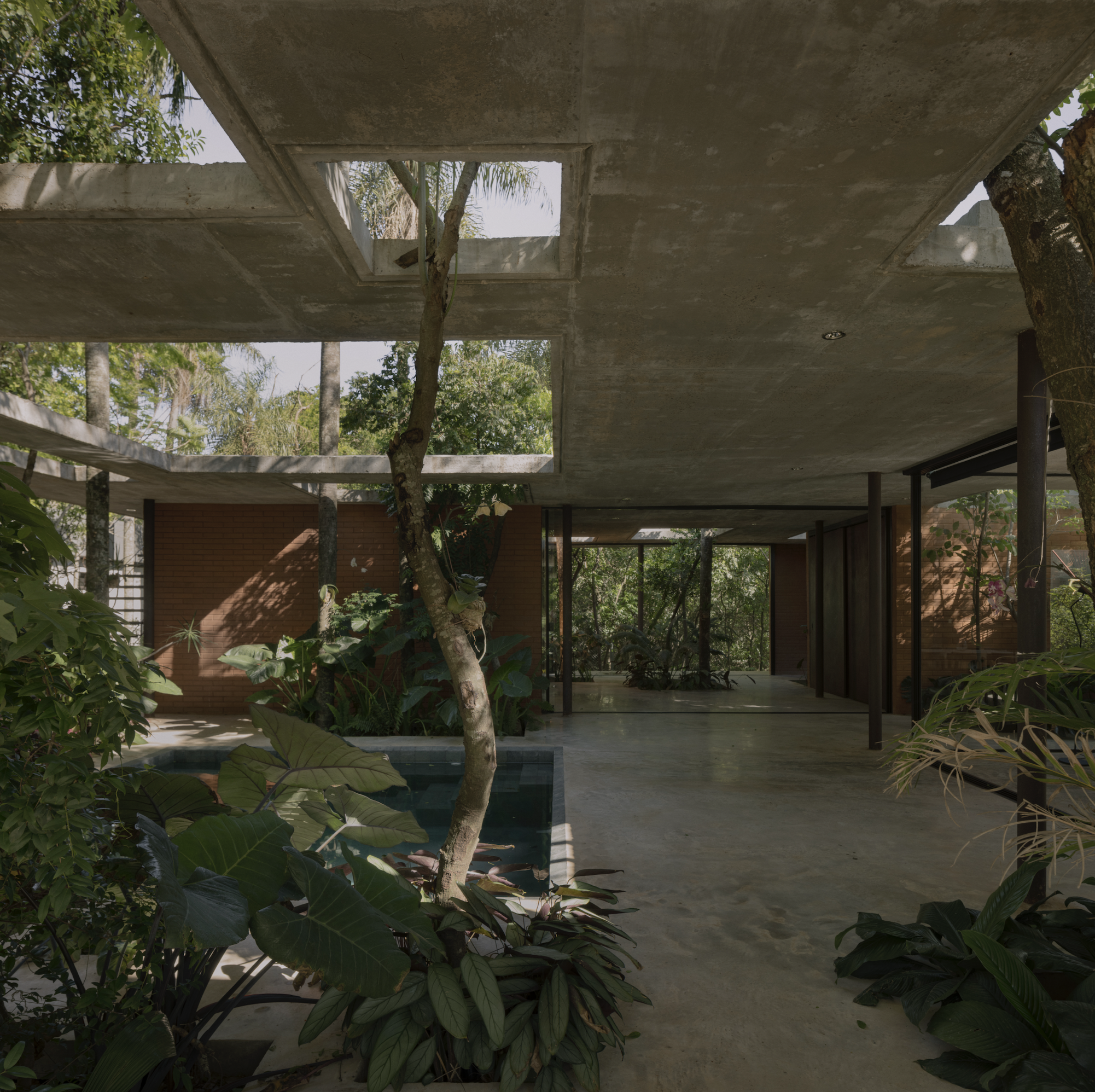 A Forest in the House, Paraguay, by Equipo de Arquitectura