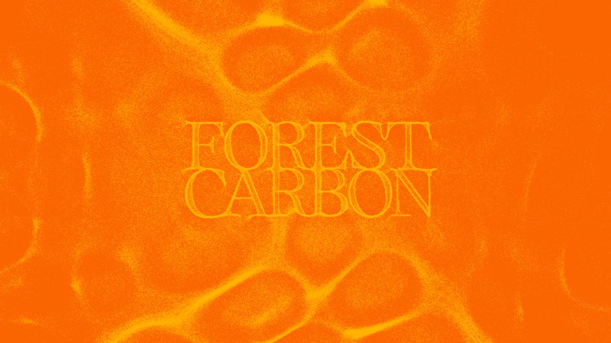 Forest Carbon project