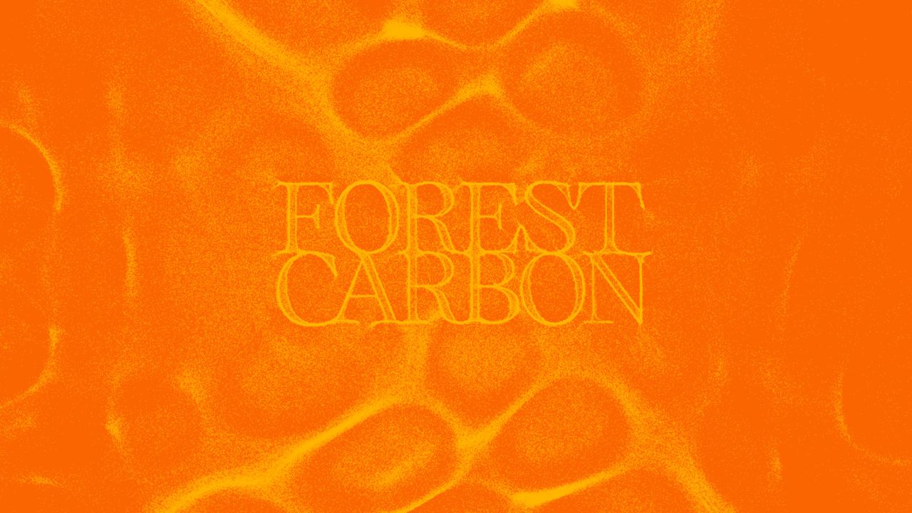 Forest Carbon project