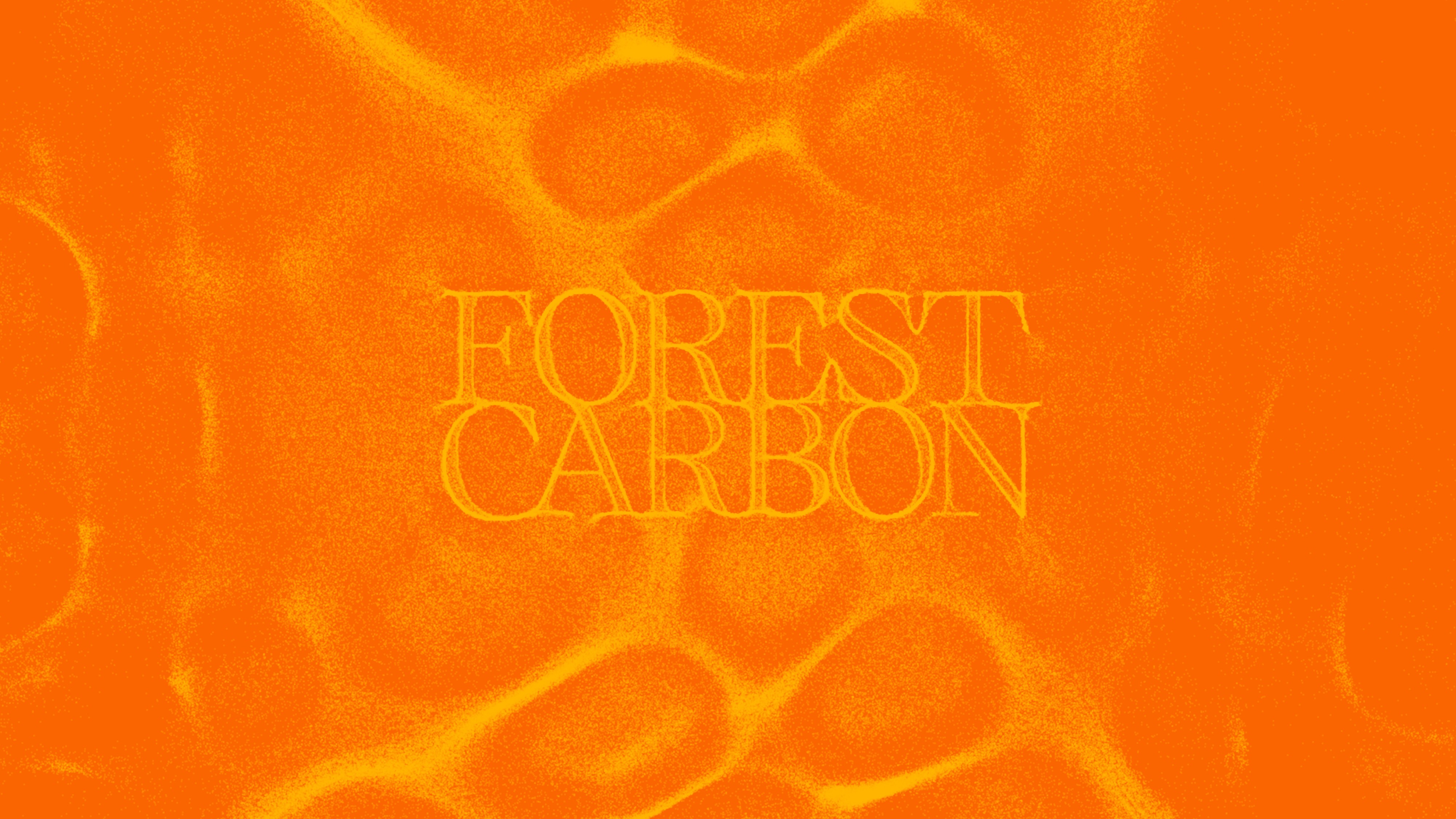 Forest Carbon project