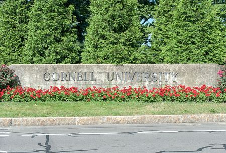 Cornell University