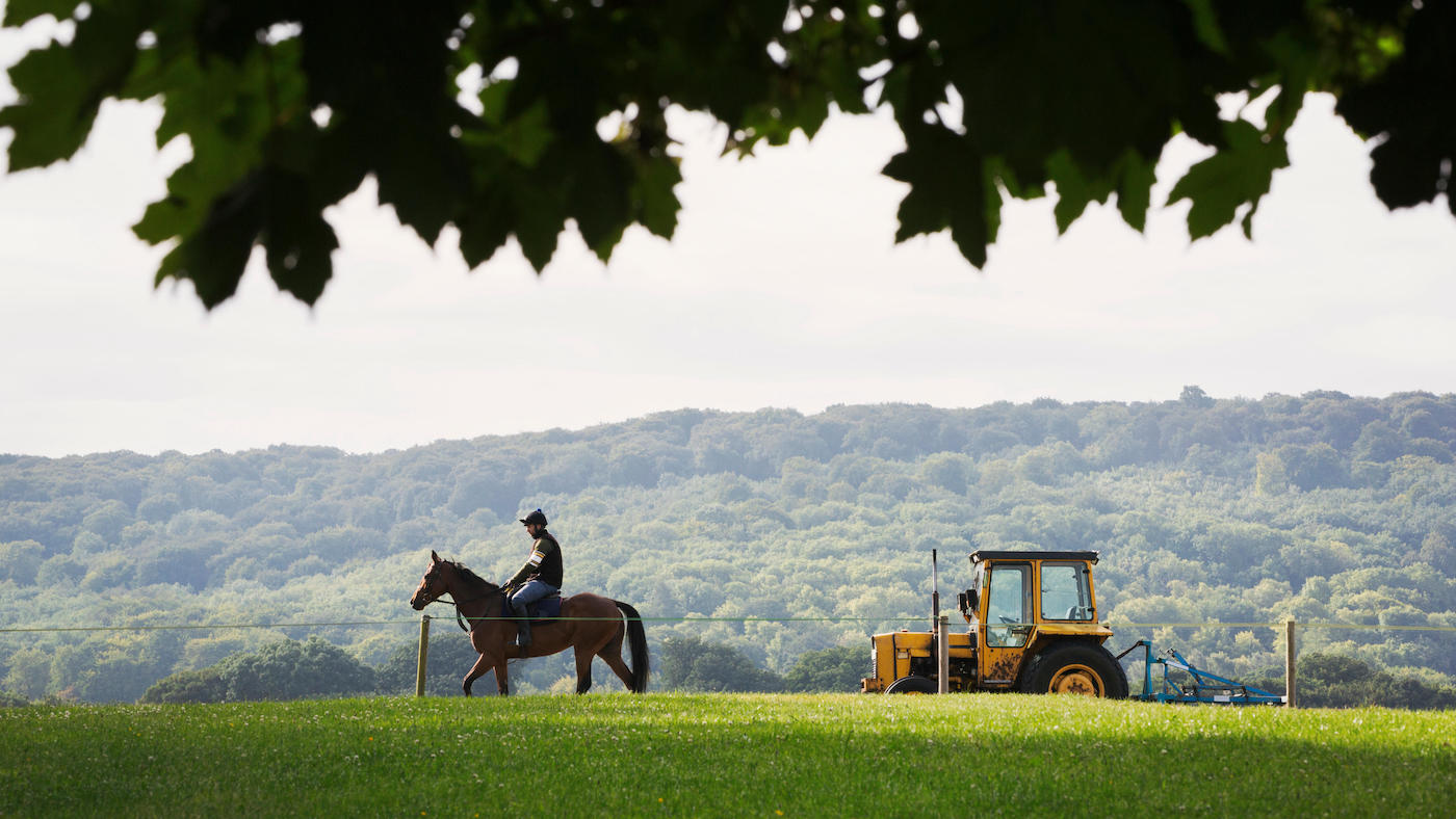 Horse riding alongside tractor