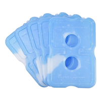 Ice Pack Bricks| $12.99 (for five) at Amazon