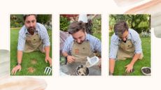 collage of three steps to making a lawn paste to fix yellow lawn patches