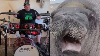 Metal drummer drums along to sound of walrus