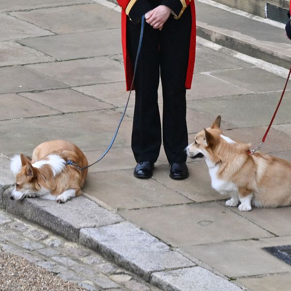 Sarah Ferguson Pays Tribute to the Late Queen With New Photo of Her Corgis Muick and Sandy