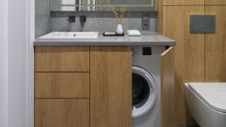 hidden washing machine in cloakroom