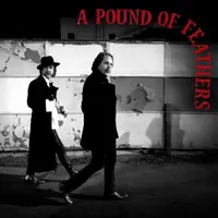 The Black Crowes - A Pound Of Feathers The Black Crowes - A Pound Of Feathers