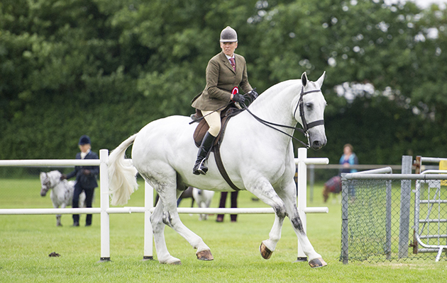 Katie Jerram and Coachman