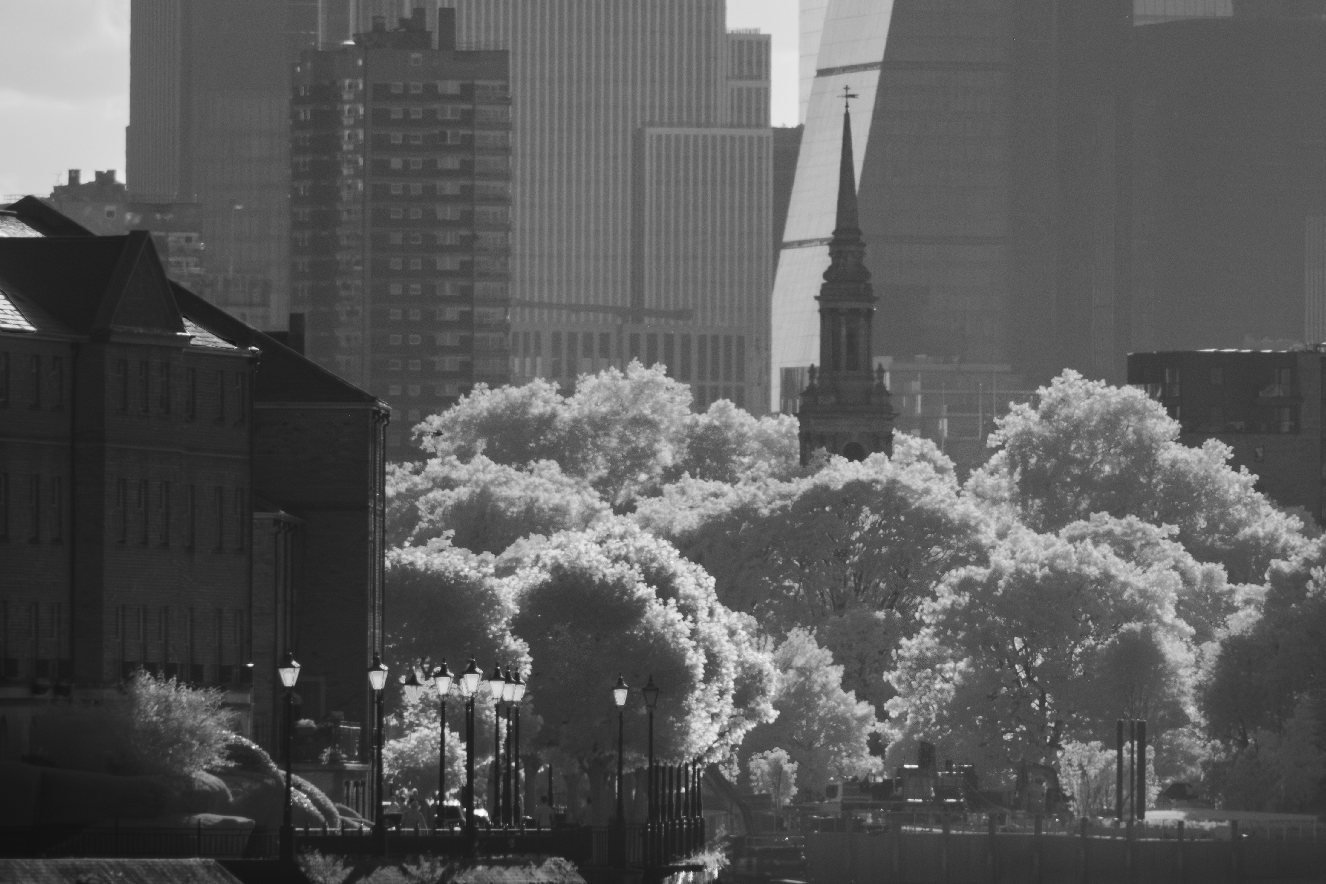 A photo taken on an infrared camera