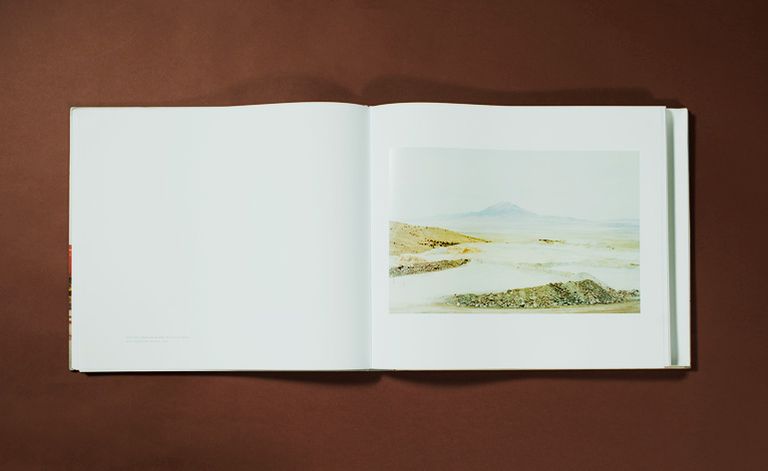 Taxonomy of a Landscape: photographer Victoria Sambunaris' visual ...