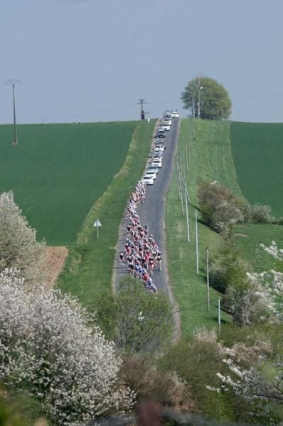 The peloton streams over the rolling hills of the Ardennes.