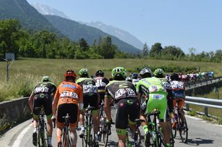 The peloton climbs into the Alps on stage nineteen of the 2015 Tour of Italy