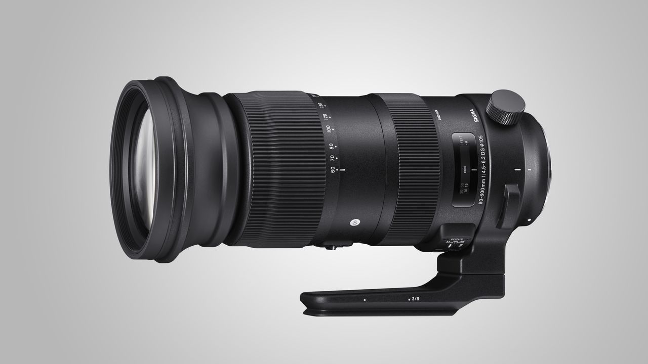 Sigma 60-600mm f/4.5-6.3 DG OS HSM | Sports
