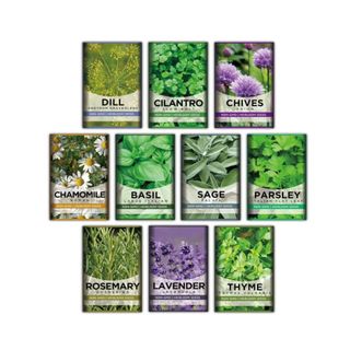 Ten packets of light green, purple, and bright green seeds laid out in a 3-4-3 pattern