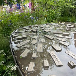 A raised pond surrounded by wildflowers at the RHS Chelsea Flower Show