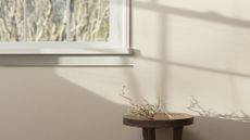 A wall painted in a neutral color